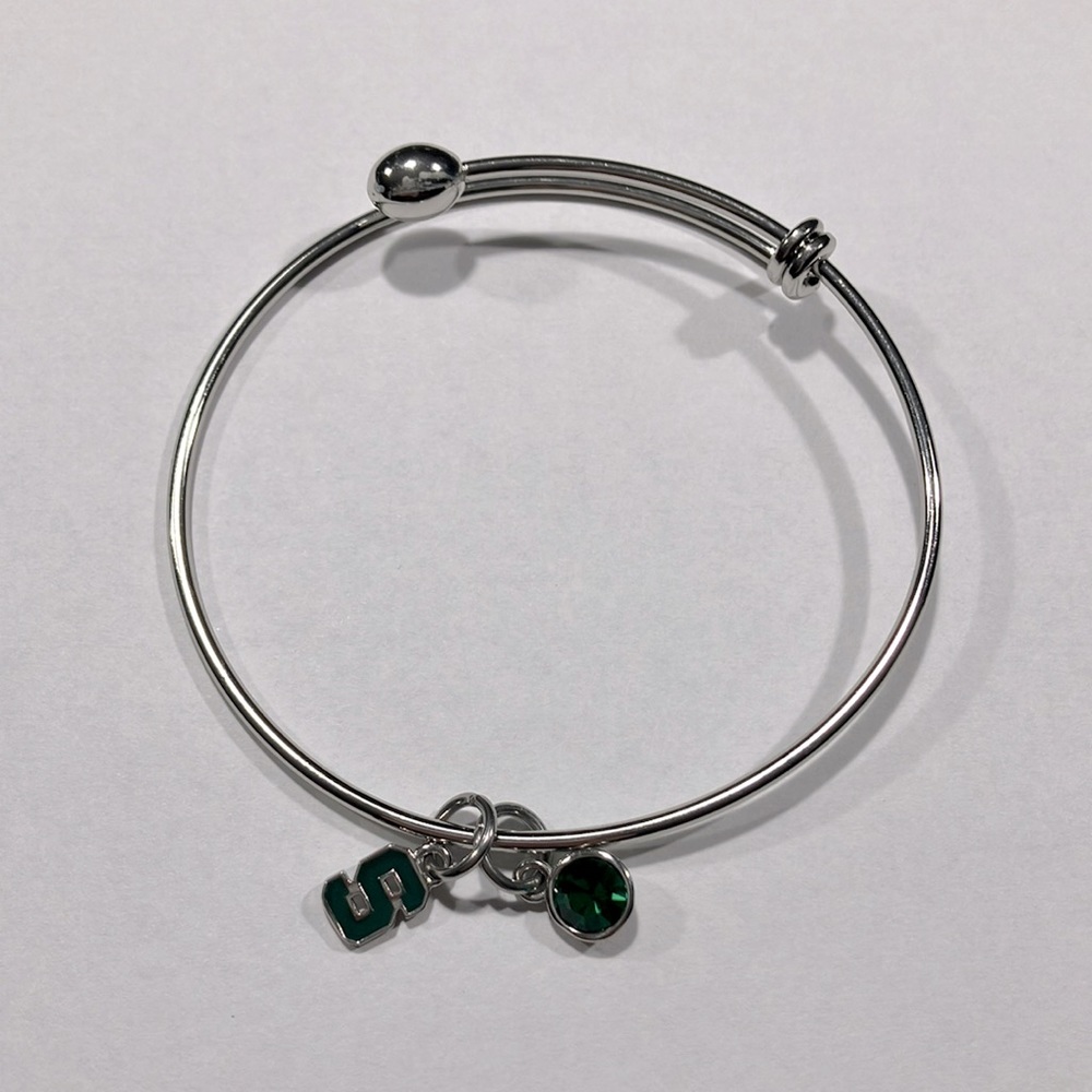 Michigan State Bangle Charm Bracelet and Earrings